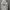 Ocean Pacific Streetwear Sportswear Hoody Pria gray photo 2