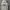 Ocean Pacific Streetwear Sportswear Hoody Pria Gray