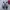 Nike Gorpcore Casual Sneakers Pria white navy photo 3