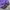 Japanese brand Vintage Casual Windbreaker Pria purple black photo 3