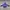 Japanese brand Vintage Casual Windbreaker Pria purple black photo 2