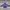 Japanese Brand Vintage Casual Windbreaker Pria Purple Black