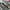 Salomon Gorpcore Casual Sneakers Pria white tan photo 2