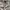 Bershka Streetwear Skater Sweatpants & Joggers Pria tan khaki photo 3