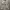 Bershka Streetwear Skater Sweatpants & Joggers Pria tan khaki photo 1