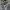 Calvin Klein Casual Casual pants Pria multicolor photo 4