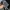 The North Face Streetwear Sportswear Pria black photo 6
