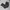The North Face Streetwear Sportswear Pria black photo 4