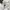 Adidas Biker Sportswear Hoody Pria white photo 3