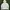 Adidas Biker Sportswear Hoody Pria white photo 1
