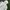 Adidas Biker Sportswear Hoody Pria white photo 4