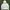 Adidas Biker Sportswear Hoody Pria White