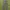 Minimalist Casual Casual pants Pria green photo 1