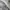 ZARA Skater Casual Hoody Kids gray photo 4