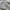 ZARA Skater Casual Hoody Kids gray photo 3