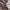 ZARA Streetwear Casual Bomber jacket Kids brown cream photo 2