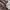 ZARA Streetwear Casual Bomber Jacket Kids Brown Cream