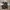 ZARA Streetwear Casual Bomber Jacket Kids Brown Cream