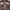 ZARA Streetwear Casual Bomber jacket Kids brown cream photo 8