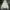 Uniqlo Y2K Hoody Pria white photo 1