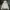 Uniqlo Y2K Hoody Pria White