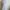 GAP Casual Midi dress Wanita white photo 3