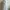 GAP Casual Midi dress Wanita white photo 2