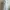 GAP Casual Midi Dress Wanita White