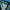 The North Face Gorpcore Sweatshirt Pria black blue photo 2