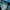 The North Face Gorpcore Sweatshirt Pria Black Blue