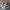 Asics Casual Sneakers Pria silver black photo 2