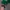 Vintage Hat Pria green photo 3