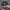 Vintage Hat Pria green photo 4