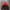 Kappa Streetwear Casual Windbreaker Pria red black photo 1