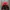 Kappa Streetwear Casual Windbreaker Pria Red Black