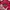 Kappa Streetwear Casual Windbreaker Pria red black photo 3