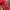 Kappa Streetwear Casual Windbreaker Pria red black photo 6