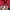 Kappa Streetwear Casual Windbreaker Pria red black photo 4