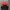 Kappa Streetwear Casual Windbreaker Pria red black photo 2