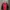 Kappa Streetwear Casual Windbreaker Pria red black photo 1