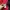 Kappa Streetwear Casual Windbreaker Pria red black photo 4
