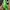 Crocs Streetwear Minimalist Sandals & slide Pria green photo 1