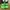 Crocs Streetwear Minimalist Sandals & slide Pria green photo 4