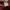 Adidas Vintage Sweater Pria burgundy red photo 2