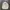 Uniqlo Streetwear Casual Windbreaker Pria cream photo 2