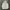 Uniqlo Streetwear Casual Windbreaker Pria cream photo 1