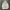 Uniqlo Streetwear Casual Windbreaker Pria Cream