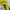 Gorpcore Sportswear Puffer jacket Pria white yellow photo 8