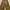Uniqlo Vintage Casual Boyfriend jeans Wanita green photo 1