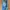 Sportswear Pria blue photo 1